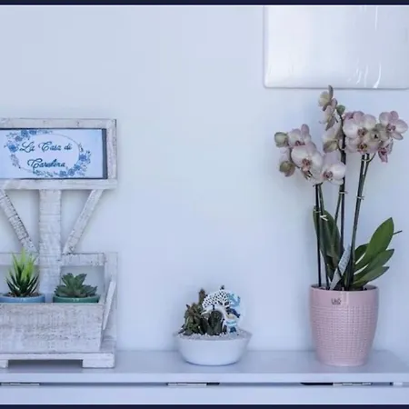 La Casa Di Carolina マラテーア