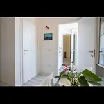 Bed & Breakfast La Casa Di Carolina Maratea